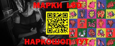 стаф Дубна