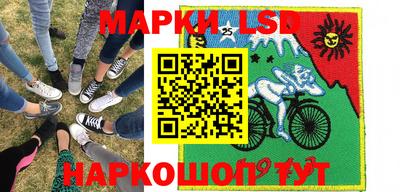 стаф Дубна