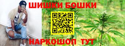 стаф Дубна