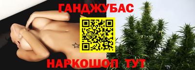 стаф Дубна