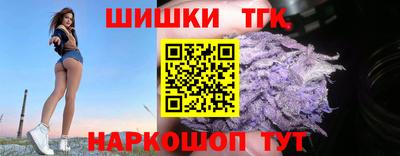 стаф Дубна