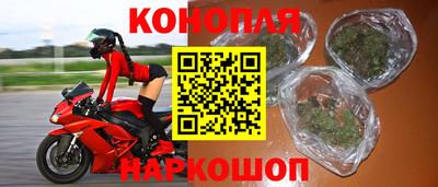 стаф Дубна