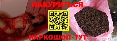 стаф Дубна