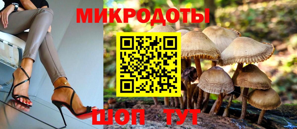 как найти закладки  Псилоцибиновые грибы прущие грибы  Вход с VPN  Канаш  Псилоцибиновые грибы Cubensis 