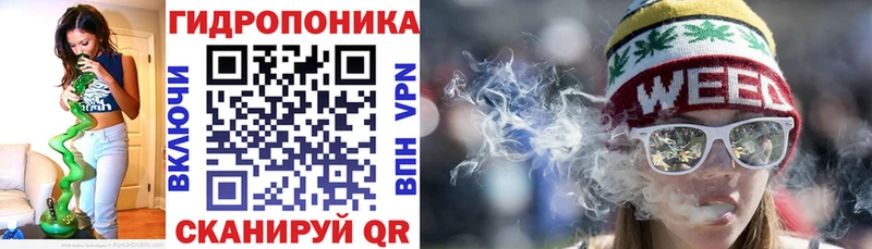 OMG вход  наркота  Канаш  Марихуана план 